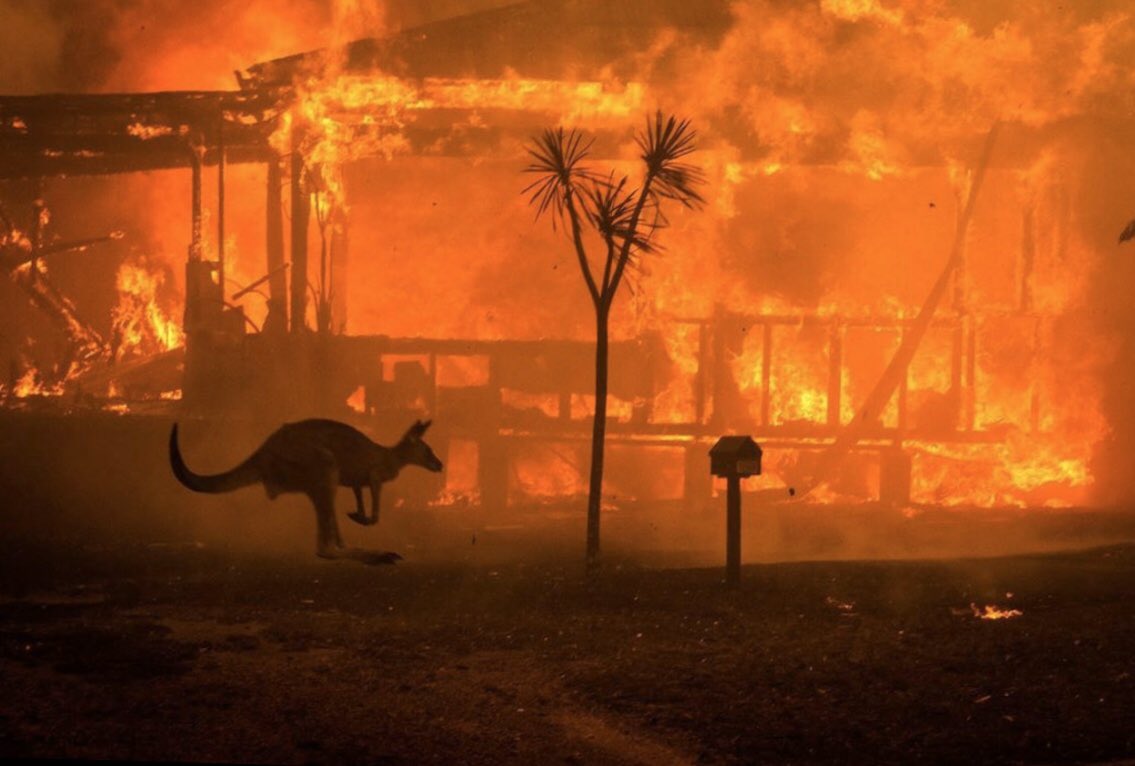 Wishing for safe evacuations and an end to the wildfires in Australia.