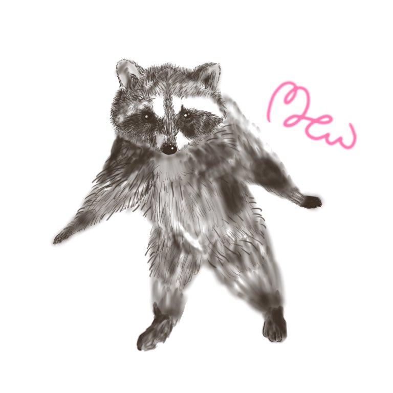 ꪔꫀꪝ ﾐｭｳ 最近twitterで流れてきた 変な姿勢で立ち止まるアライグマ描きました アライグマ 毎日何かしら絵を描くチャレンジ 16日目