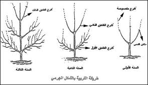 STC06995606's tweet photo. Olive tree
#agriculture #food #distribution #organic #import #foodsafety #exportandimport #deals #farming #export #foodindustry #sustainability #fruits #olivebean #sukkari #saiede #deglanoor #datefruits #dates #olivetree #kurma #degla #oliveoil https://t.co/6c1HYCgjFW