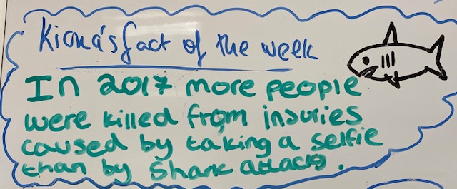 Image of fact included in tweet with a shark icon 