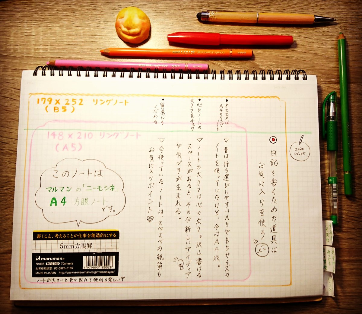 大人の日記
