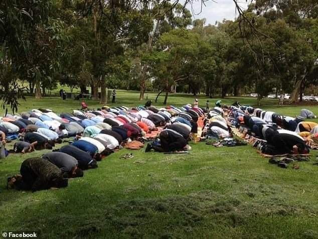 usmandevries's tweet photo. Muslims in Australia performed *Salat Ul  Istasqa" (a special prayers for the rain) &amp; it rained in Australia now ALHAMDULILAH " this shows how peace loving Muslims are we carry no hate for anyone " #PrayForAustralia #australiafire https://t.co/OYPe9TELLn