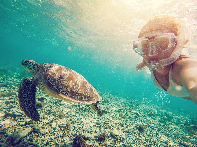 atollaura's tweet photo. Maldives snorkeling is a memorable and unique experience..join with us
More details:https://t.co/nVWumG66Nl
Inquires : reservations.mv@zeldivaluxury.com
#ZeldivaLuxury #ZeldivaMaldives #MaldivesPackage #maldivesHolidays2020 #MaldivesTourPackage #MaldivesHolidayPackages# https://t.co/yeZdfFFny4