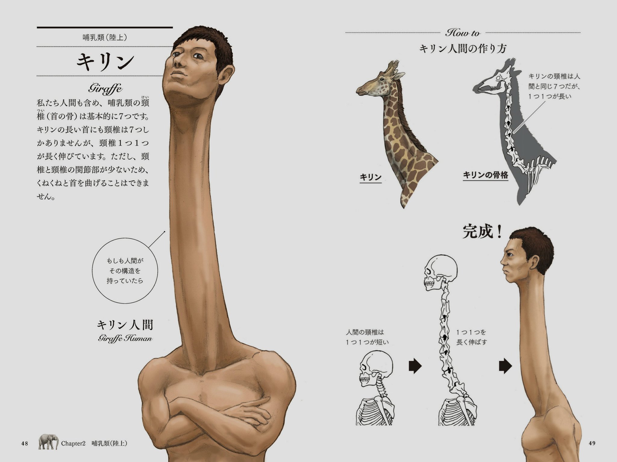 赤月ゆに 動物の骨格を人間で再現しまくる本 カメの甲羅はあばら骨 これ ヤバイ本だ コロシテ コロシテ がすきな人におすすめ T Co Zxzym1zooo Twitter 赤月ゆに 動物の骨格を人間で再現しまくる本 カメの甲羅はあばら骨 これ ヤバイ本だ コロシテ コロシテ がすきな人におすすめ T Co Zxzym1zooo Twitter