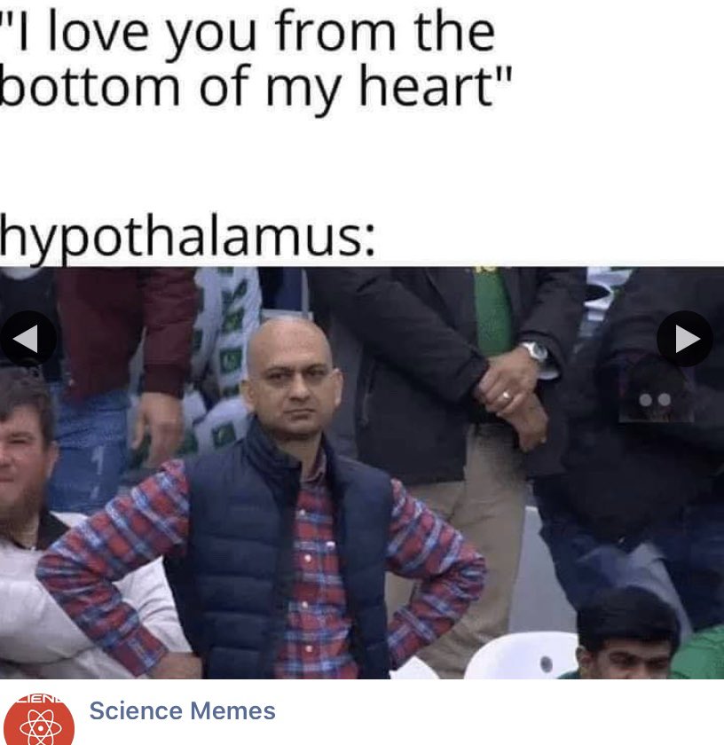 pangburnscience's tweet image. #romance