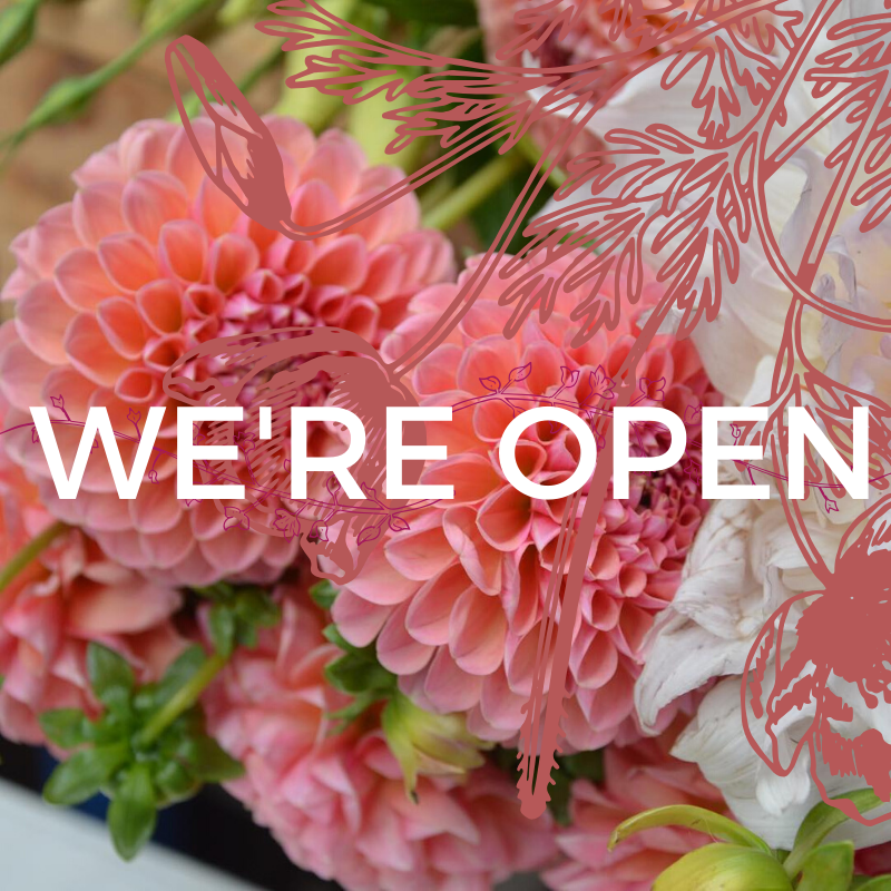 Glee Events tweet media