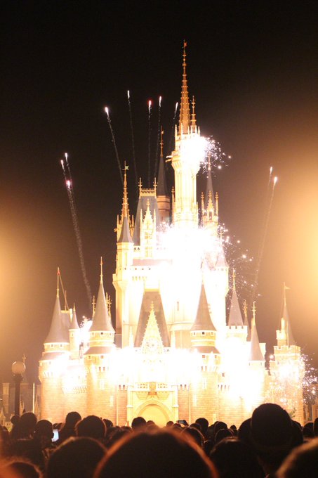 シンデレラ城のtwitterイラスト検索結果 古い順