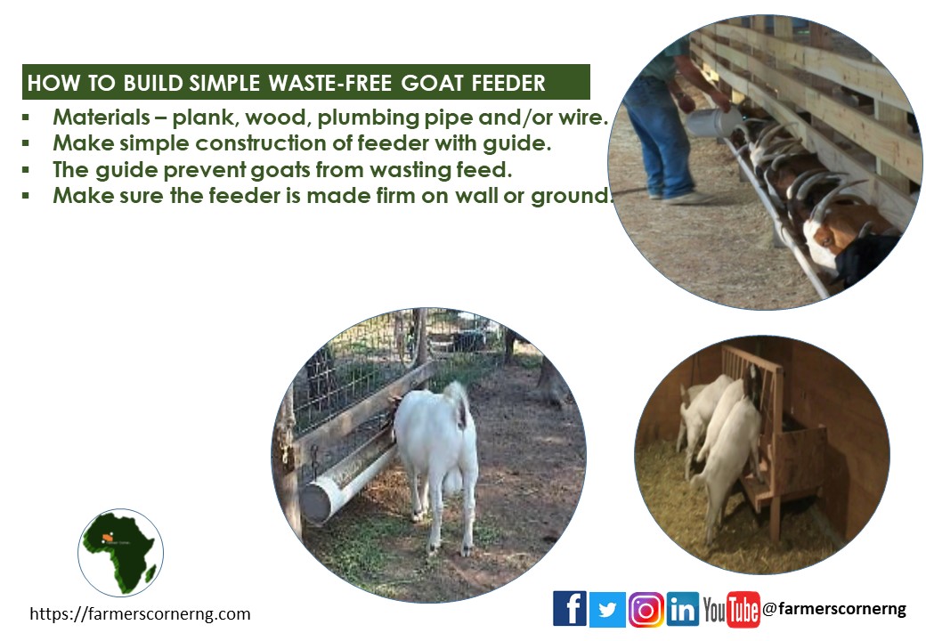 How To Build Simple Waste-Free Goat Feeder

Tag ranch/goat farmers.

#goat #ranch #farmers #goattalk #goatchat #feeder #feed #meat #youthinag #thinkaheadag #mobileag #agriculture #agribusiness #food #productivity #zerowaste #farmrewards #farmtips #farmerscornerng
