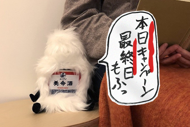 犬西 いぬにし 睡眠用うどん最高 ケビンを湯たんぽかわりに抱いて寝たい