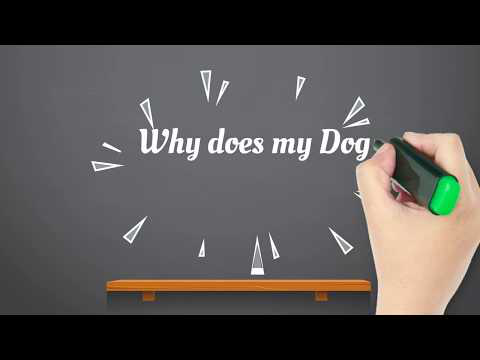TrainawayA's tweet photo. How TrainAway can Help with door barking! https://t.co/kkZsaLdkg9 #dogs #Facebook #Twitter #TrainAway_ADT https://t.co/z8hnGMiK9J