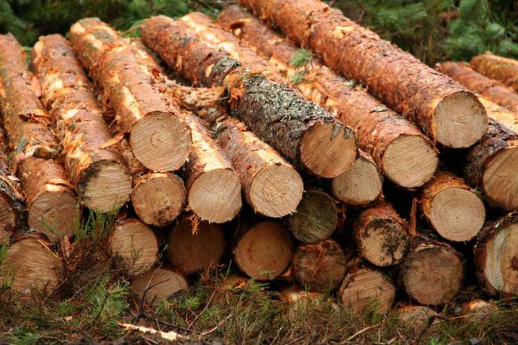 WFraserEurope's tweet image. Sustainable forestry - we are dedicated to producing board from sustainable sources of wood only. Read more about our efforts to have the best possible impact on external environments: ow.ly/PWTy30q6XBx
@FSCUK #FSC #sustainability