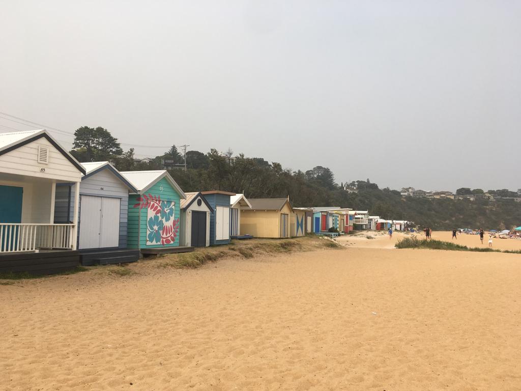MagdaRawecka's tweet photo. @CmJanvry 
Bonjour tout le monde.

Nous sommes allés sur la plage à Melbourne, à l’opéra de Sydney.
Des perroquets au bord de la piscine.

Victor B,Edouard https://t.co/zTbUHevKcg