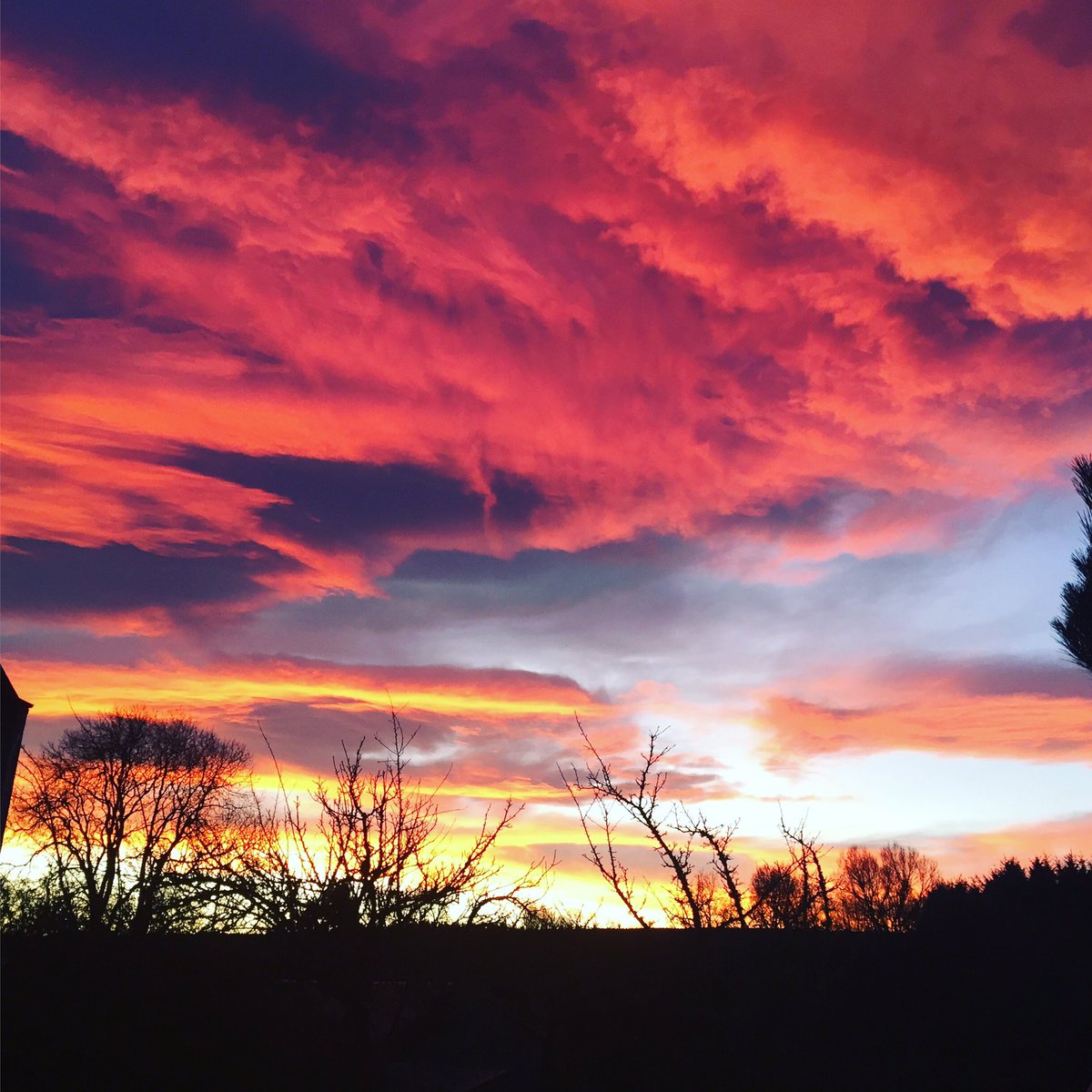 HarryBucknall's tweet photo. Sunrise at #Pluscarden ... shepherds very confused! π https://t.co/2XQn8aZBes