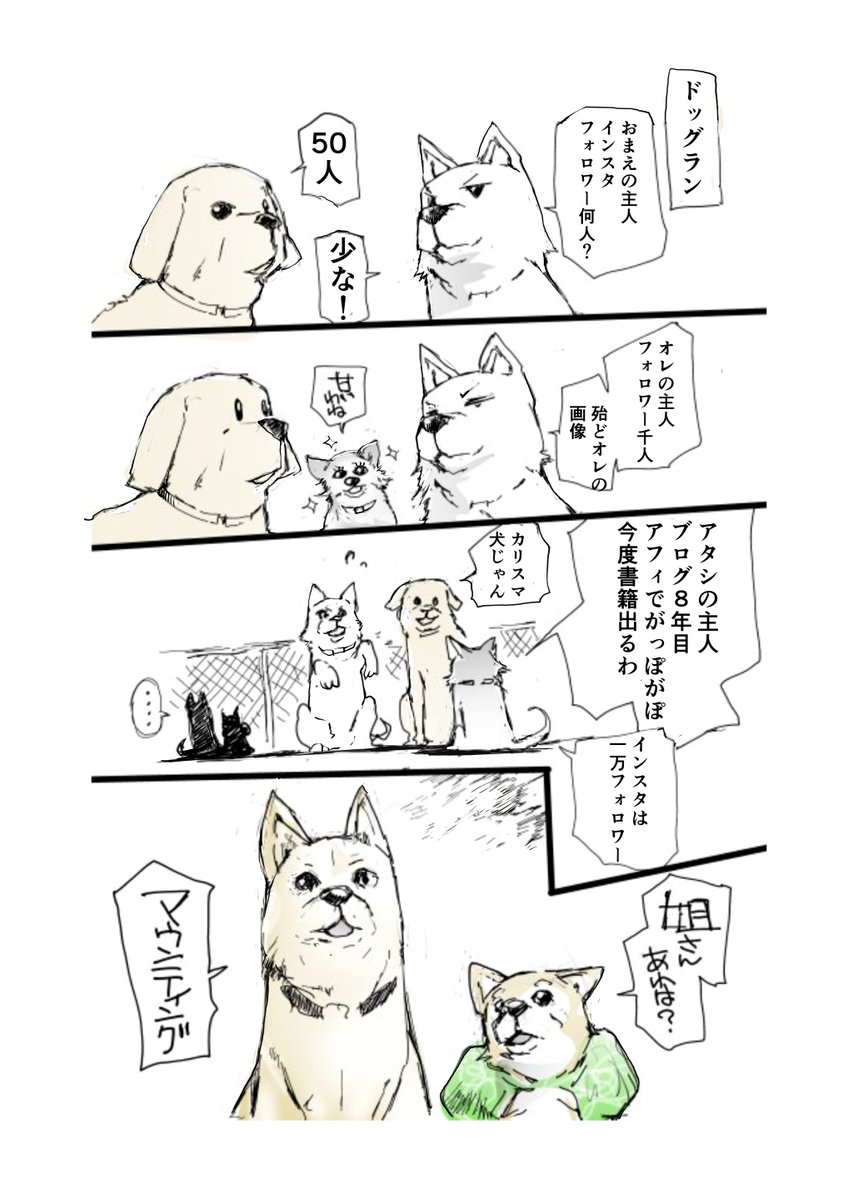豆柴カフェにいられなくなった雌犬とそれを追いかけた小さい柴犬の旅【再掲】3日目 