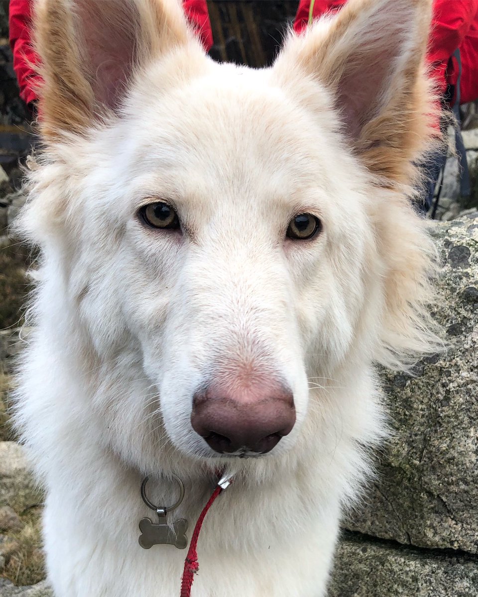 Gemma O'Neill tweet media