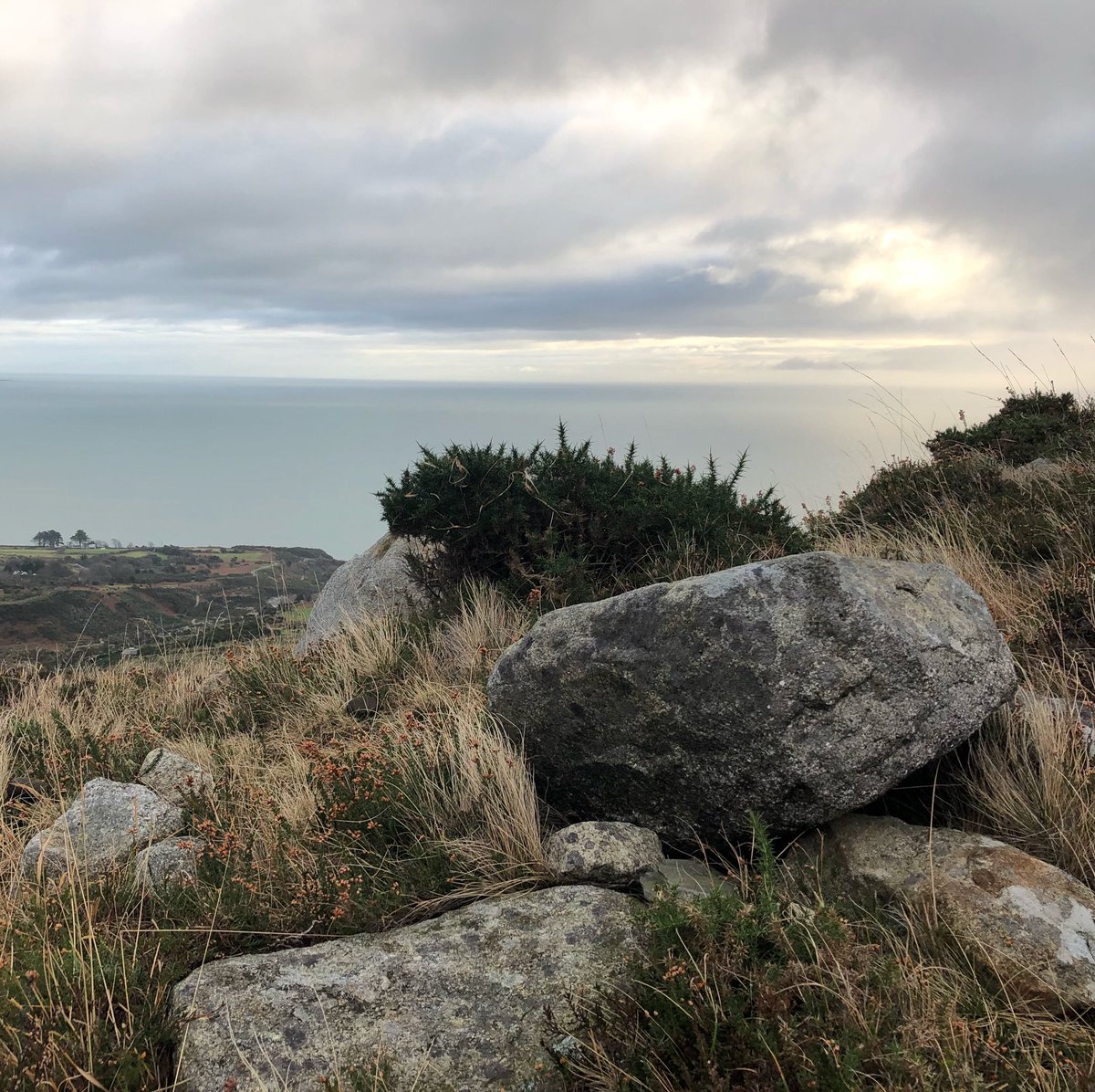 Gemma O'Neill tweet media