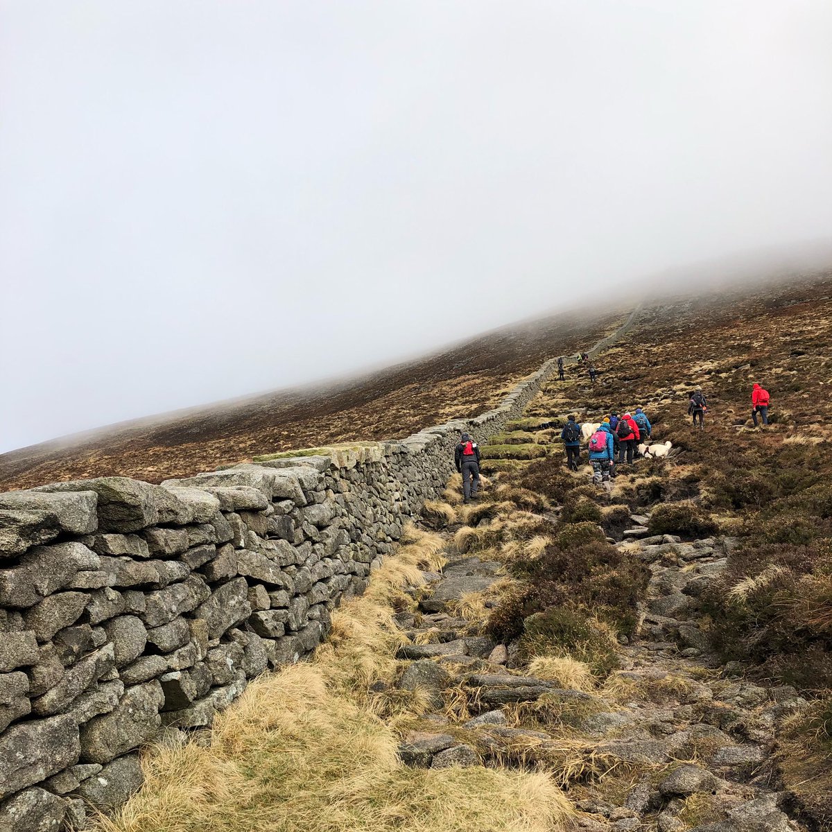 Great hike and great company climbing Slieve Donard from Bloody Bridge over the weekend. Thanks so much to @NI_EXPLORER for introducing me to this lovely group of people and doggos! ❤️ @visitmourne @EnjoyTheMournes @lovemourne @DiscoverIreland @DiscoverNI