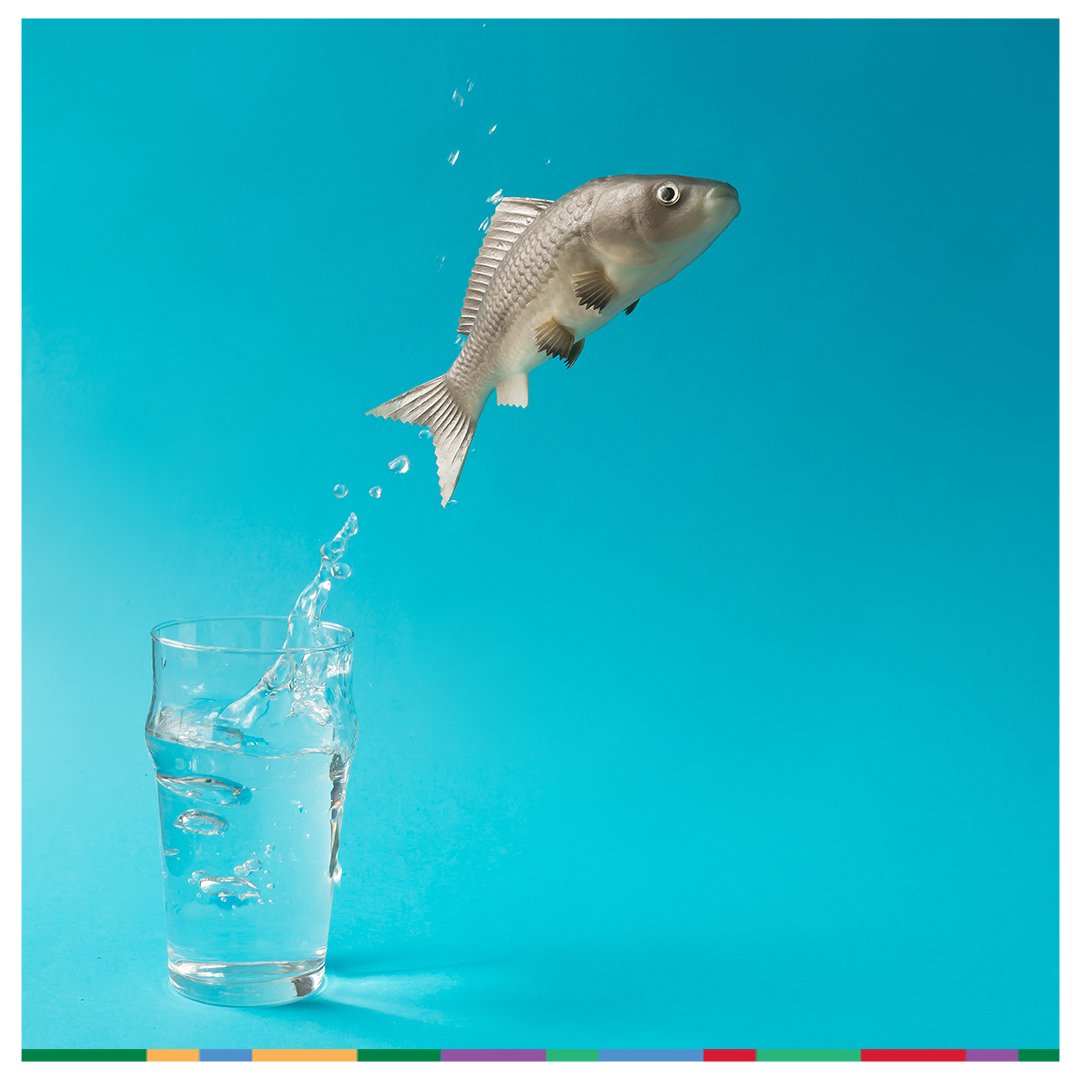 MeristemNigeria's tweet image. It is the first official work week of the year. 😄

Take that leap. Dare to want more.

There is a sea of opportunities with your name in it.

#meristemng #workweek #workmodeactivated #monday #lagos #nigeria #motivated #precision