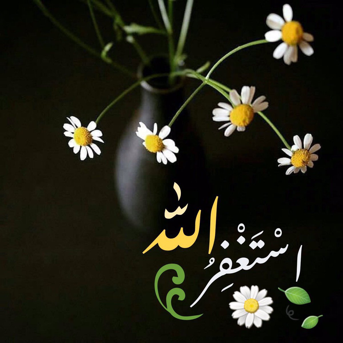 🌷
هل استغفرت اليوم أم نَسيت !
لا بأس، ردّد الآن حتى ترتوي ويرتاح البال.

أستغفر الله الذي لا إله إلا هو 
الحي القيوم وأتوب إليه "

#الا_بذكر_الله_تطمئن_القلوب⁩
#حياتي_كلها_لله 

🌼💎🌼