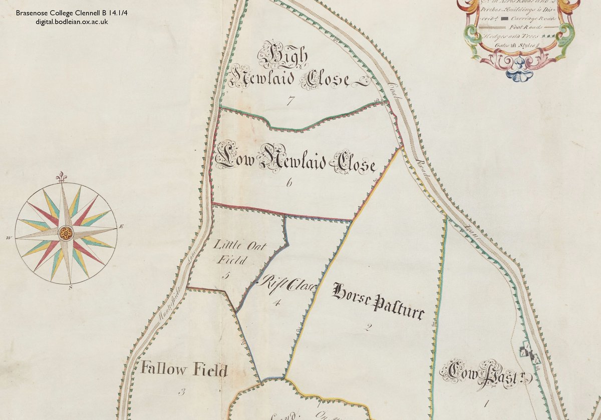 Detail from an 18th century Brasenose College estate map.