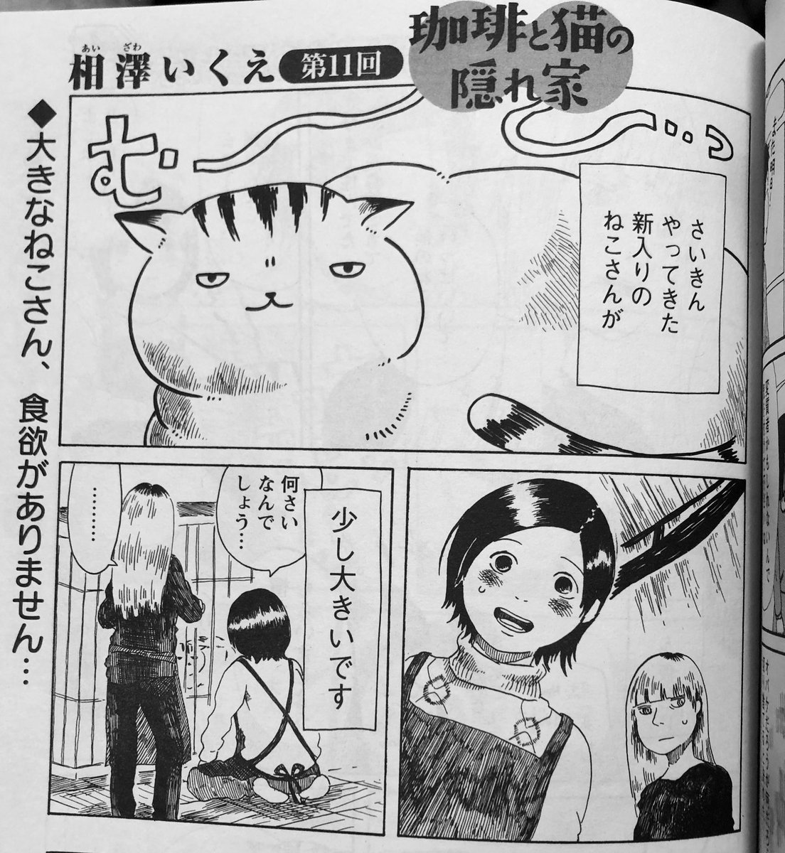 月刊まんがタウン2月号、発売中ー!
珈琲と猫の隠れ家第11回です!
大きいねこと、後木ちゃんの恋のお話です! 