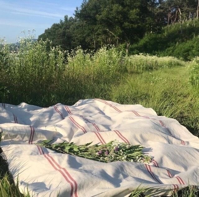 blue (@sadspeil) on Twitter photo 