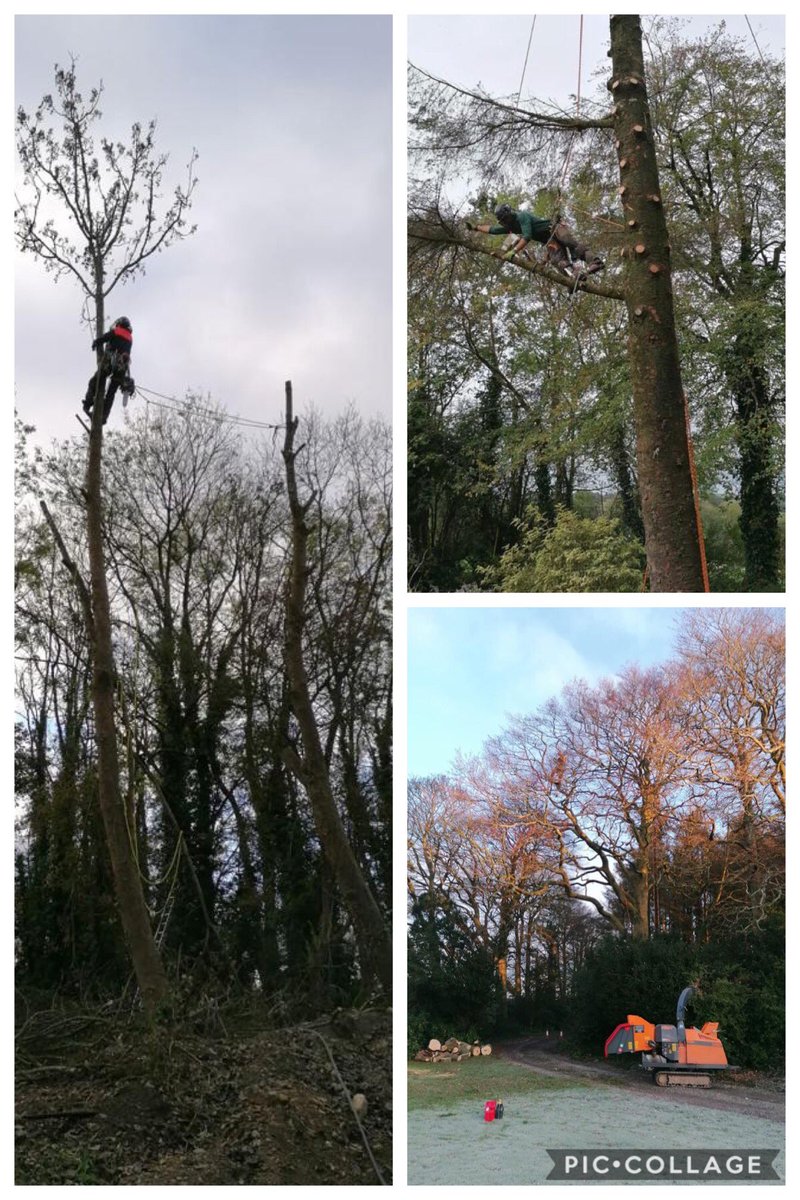 Happy new year to all our customers and clients. If you have any domestic or commercial Treecare enquires don’t hesitate to contact us <a href="/apbtreecare/">APB Treecare</a> #treecare #arborist