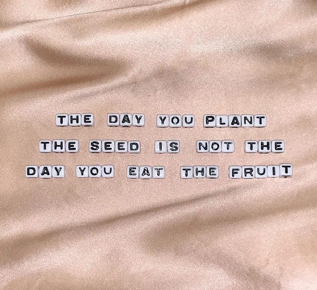 the_female_lead's tweet photo. The day you plant the seed is not the day you eat the fruit https://t.co/xUOiWcIlcQ
