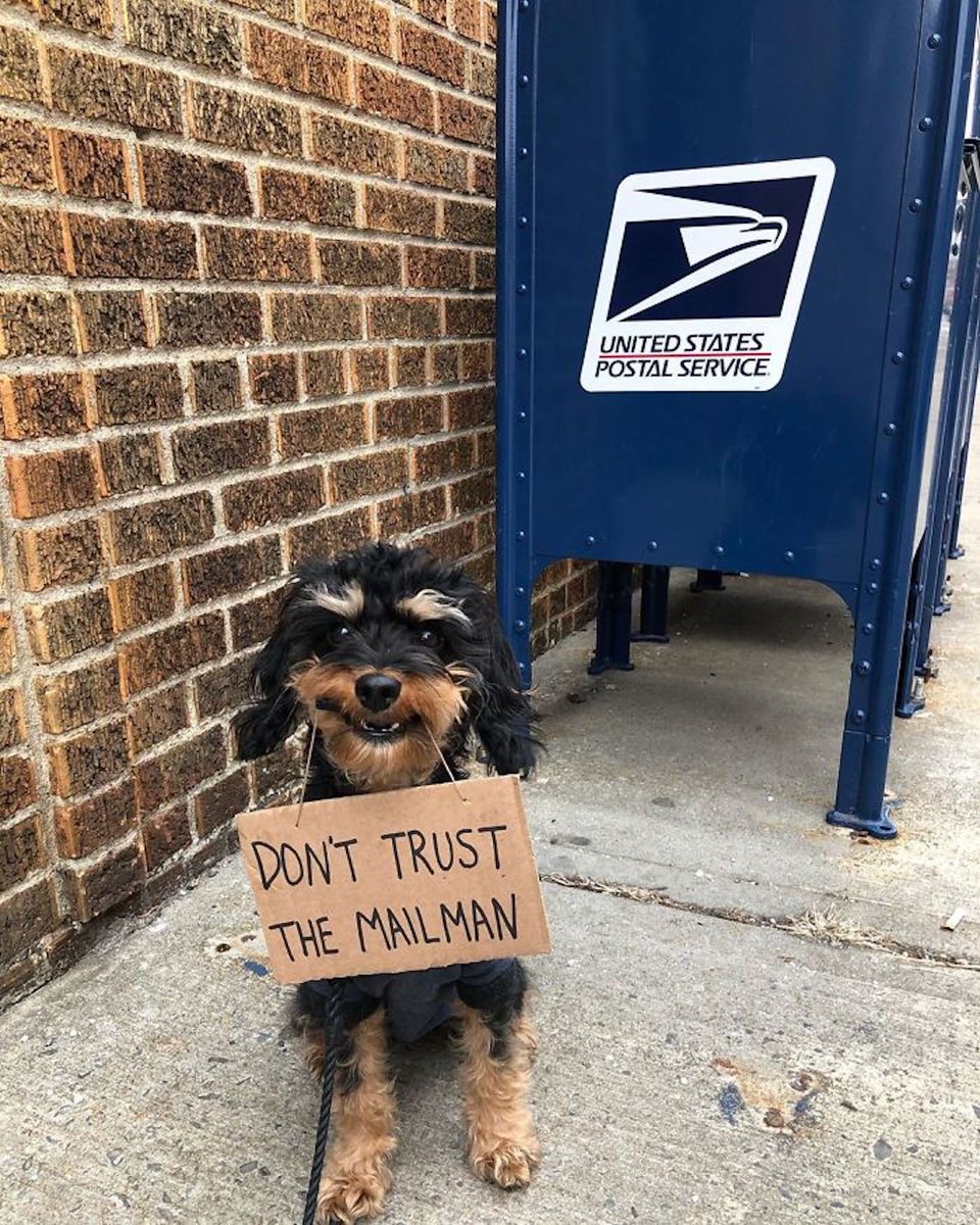 Ce chien cartonne sur Instagram en protestant contre les petits problèmes du quotidien

Plus d'infos : bit.ly/37AxD2s