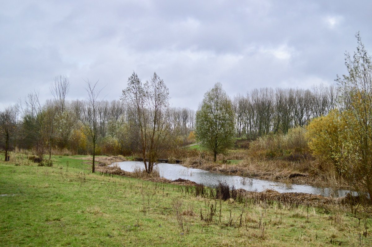 Meer dan genoeg wandel en fietsroutes in de omgeving!
#westland #sgravenzande #wandelroutes #fietsroutes #broekpolder