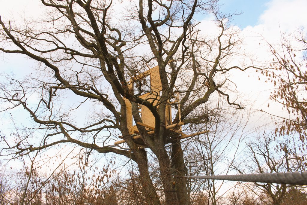 Seit 100 Tagen ist der #DannenröderWald besetzt! Das was hier entstanden ist kann nicht mehr genommen werden. Danke an alle Wesen die hier leben, besuchen, reden, teilen, voneinander lernen, wütend und widerständig sind. 
#DanniBleibt
#keineA49
#By2020WeRiseUp
#HambiBleibt