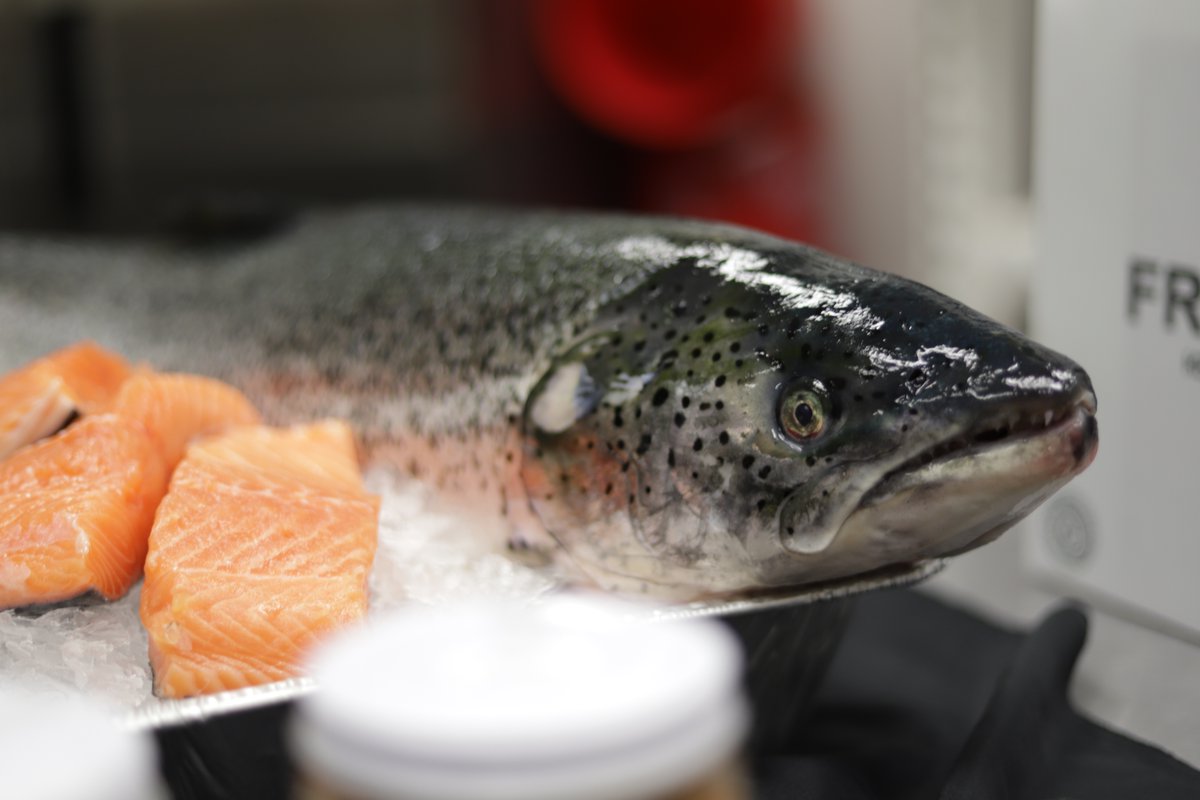 EuclidFishCo's tweet image. Attention Chefs: what can you do with this whole salmon? Next time you cook one from Euclid Fish, tag us!
• 
• 
• 
#euclidfish #clevelandchef #clechef #pghchef #pittsburghchef