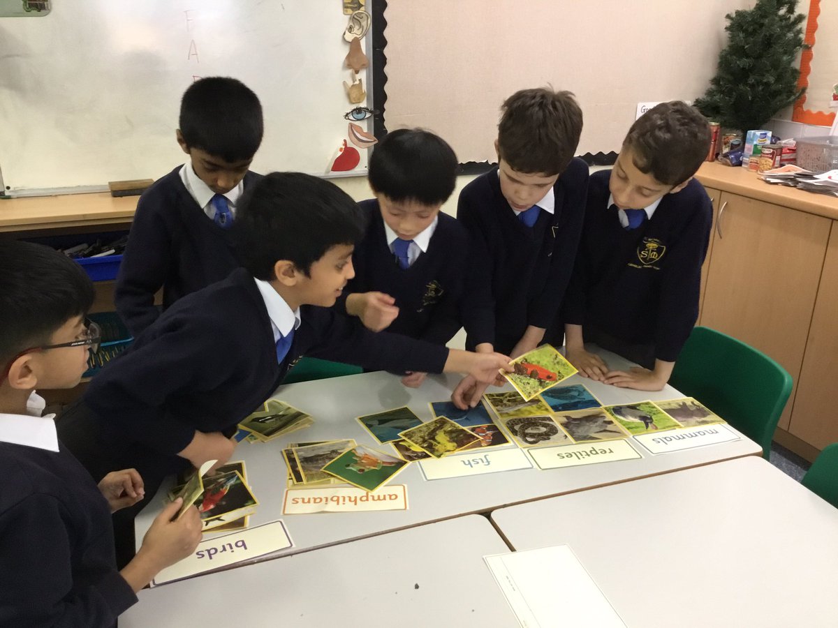 InspirationsStm's tweet photo. We are sorting these vertebrates into the five categories of vertebrates. Can you guess what MR FAB stands for? #stmScience #stmLivingThings #stmY4Science https://t.co/eoPsXXi8u6