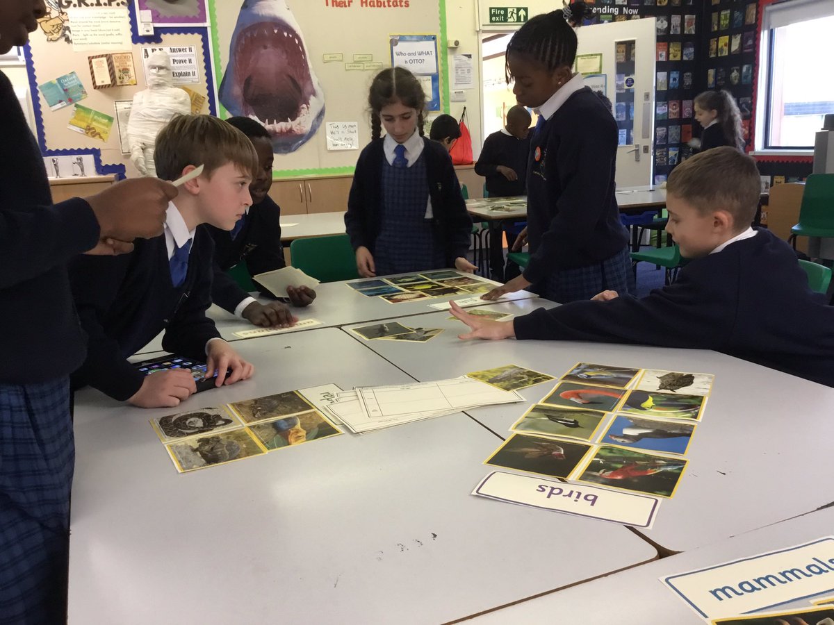 InspirationsStm's tweet photo. We are sorting these vertebrates into the five categories of vertebrates. Can you guess what MR FAB stands for? #stmScience #stmLivingThings #stmY4Science https://t.co/eoPsXXi8u6