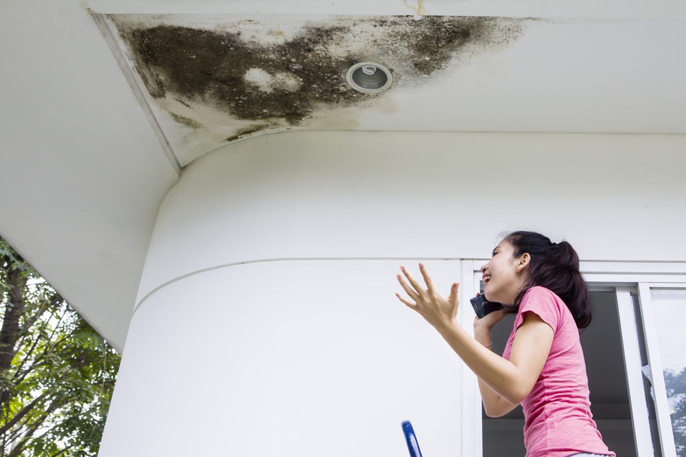 RoofingPhillips's tweet photo. Don't Fret!  We know how to handle insurance companies.  Phillips will make sure you get what you deserve.  Call today to alleviate the headache!  (361) 815-3866

 https://t.co/FZnycs25eg https://t.co/N9F47PQJof