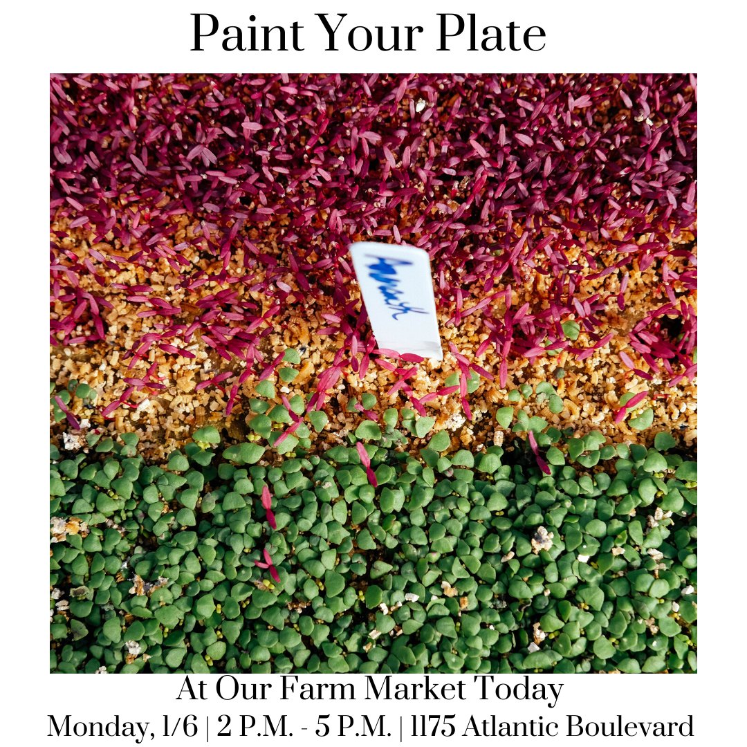 ABUrbanFarms's tweet photo. Introduce more color and local flavor to your meals with tasty treats from our Farm Market today!  #atlanticbeachfl #ilovejax #eatjax #jaxbeach #jaxfoodies  #nomnomjax #fitjax #healthyhjax #904 https://t.co/QqUrjUsQN0