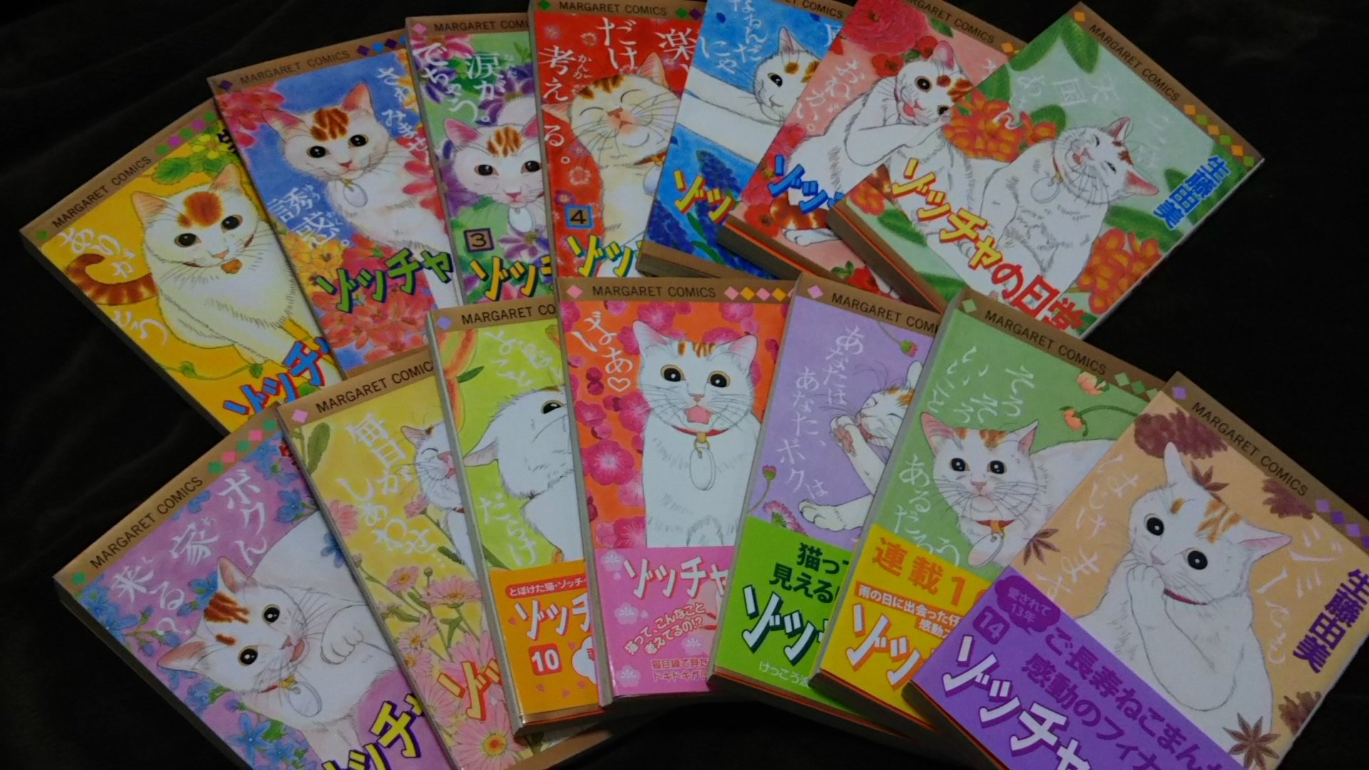 ゾッチャの日常 Twitter Search Twitter