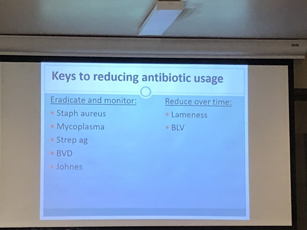 NatNewby1's tweet photo. @Rosy_Lane Lloyd: keys to reducing antibiotic usage #PrudentUse. Took a long time to get here, but now are free of Mycoplasma & Staph aureus & Johnes. Incredible cost savings with the eradication of contagious diseases! #BVD another one and can be easily tested for. #GBFW20 https://t.co/6RMmsXw5iP