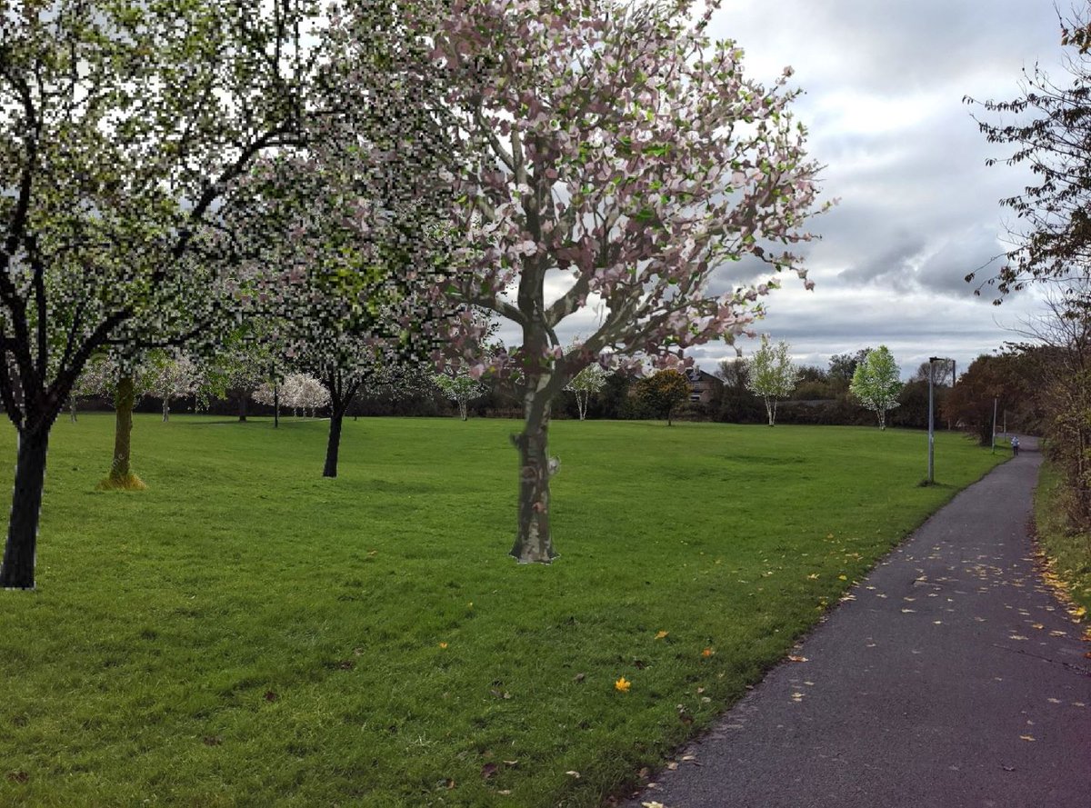 I will be at the Hob Moor Stone on Little Hob Moor Tuesday 7th Jan 10-11.30 and Marriott Hotel Thursday 9th Jan 18.30-20.30 with Dave Meigh from the council and Stephen Fenton, local councillor, to answer your questions about Little Hob Moor Tree Project. All welcome.