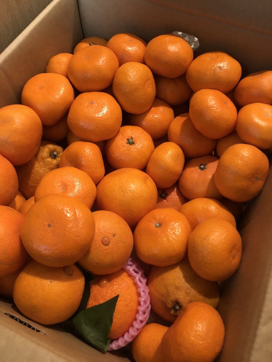 EywTeppec0's tweet photo. 毎度毎度やけど、いつも送りすぎやない？いっぱい食べよーっと https://t.co/mweTFYgstE