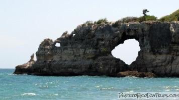 inc_puerto tweet picture