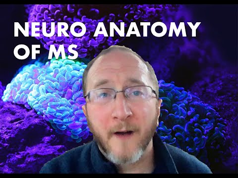 AaronBosterMD's tweet photo. I this video I teach you basic Neuroanatomy of the brain and spinal cord, areas commonly impacted by Multiple Sclerosis. Want to better understand the structures of the noggin? Then start watching right now! https://t.co/w6yXbZg0WJ https://t.co/kkgU2OX7zS