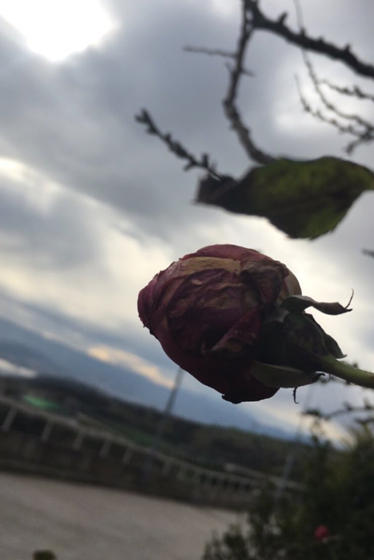 birerguvan's tweet photo. Allah’ım yeniden başlayacağım ama gücüm yok. Yardım et! https://t.co/YvnKmLSwPt