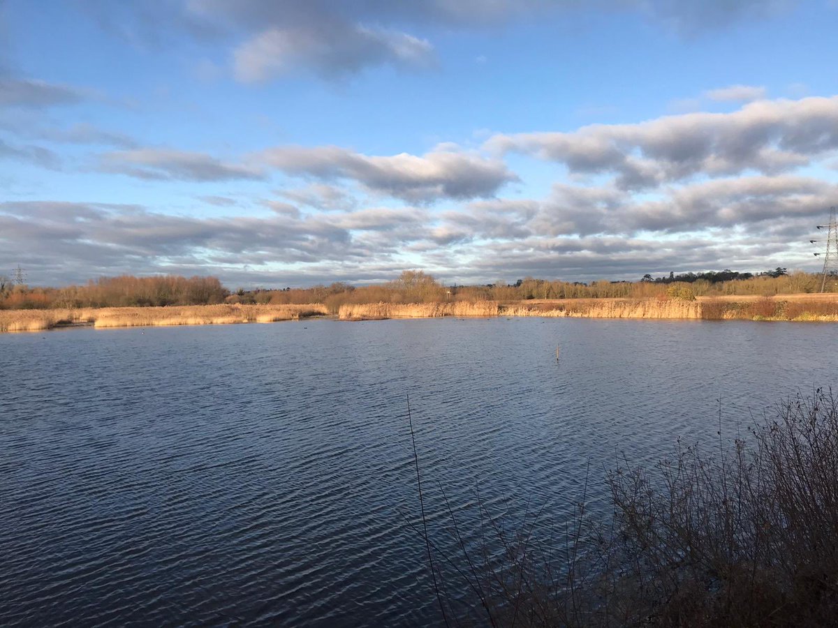 jerseyrd71's tweet photo. The water levels are still high @RSPBRyeMeads https://t.co/THflylqCxT