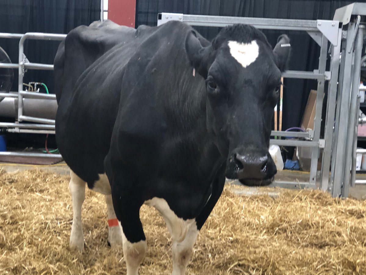 Joe Ducey tweet media