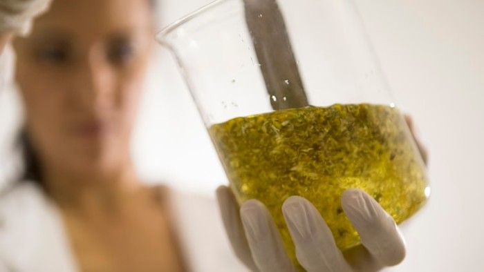 proterabio's tweet photo. [ENTREVISTA] @Proterabio utiliza proteínas funcionales, las que pueden ser de origen natural y reemplazar a la animales o sintéticas. En esta entrevista, @FranciaUtreras analiza el futuro de los alimentos.
https://t.co/JJ1mRG1XY1 https://t.co/Fk6fZ8FMgL