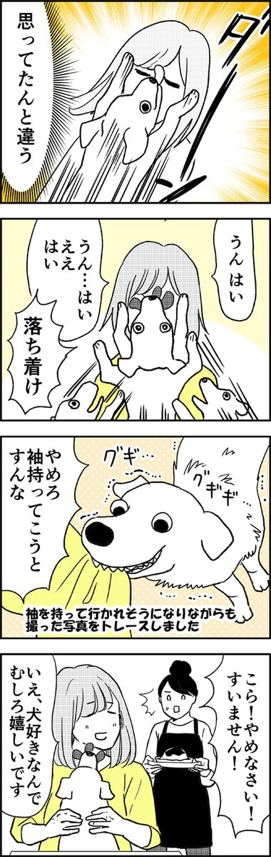 近所の犬がいるカフェで癒されようとした結果 1/2 ?☕️ 