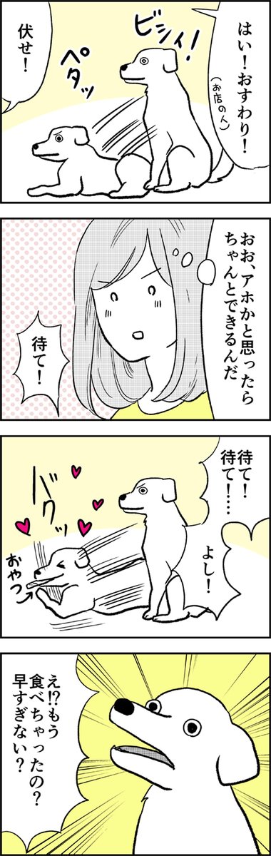 近所の犬がいるカフェで癒されようとした結果 1/2 ?☕️ 