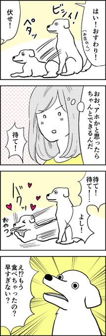 食い意地の張ったワンコほどかわいいものはない カフェの看板犬に 思ってたんと違う 歓迎を受けるマンガが面白い ねとらぼ