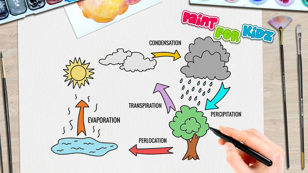 A conceptual diagram of the hydrologic cycle (after Wisler and Brater,... |  Download Scientific Diagram